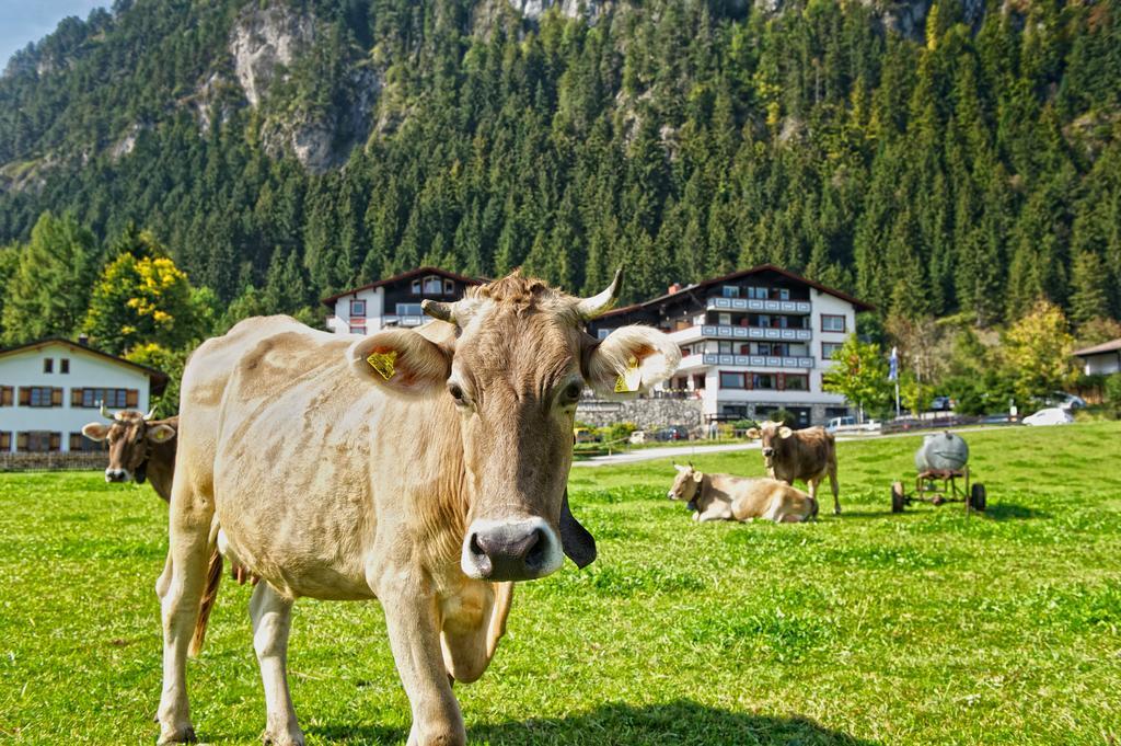 Familotel Bavaria Pfronten-Familien Hotel-Alles Inklusive Konzept ภายนอก รูปภาพ